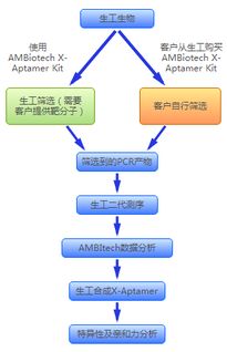 X Aptamer核酸适配体平台 生工生物 生命科学产品与技术服务